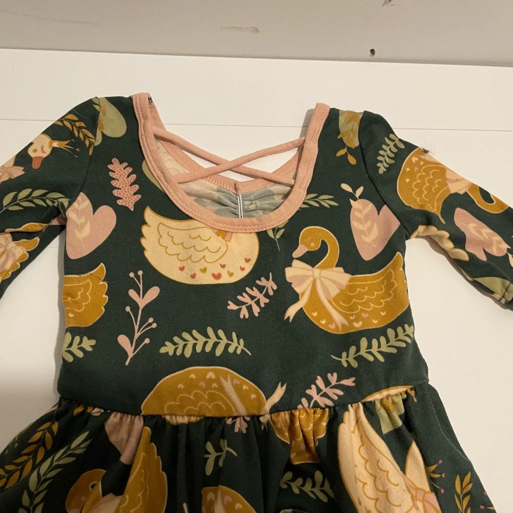 Dot Dot Smile Girl's size 2T Ballerina Twirl Dress Green Swans Pink Twirly
